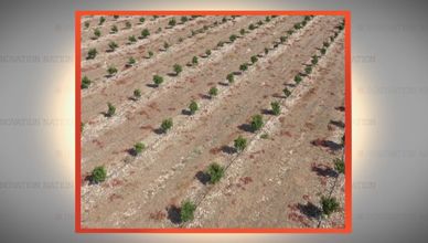 التكنولوجيا الذكية