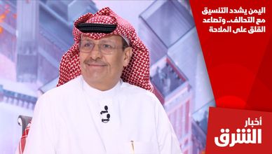 اليمن يشدد التنسيق مع التحالف.. وتصاعد القلق على الملاحة