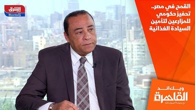 القمح في مصر.. تحفيز حكومي للمزارعين لتأمين السيادة الغذائية