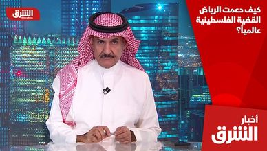 كيف دعمت الرياض القضية الفلسطينية عالمياً؟