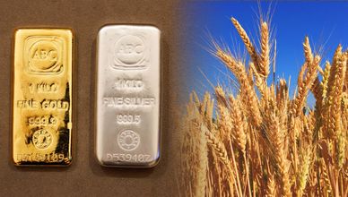 تراجع واردات مصر من القمح.. والذهب والفضة يواصلان الصعود