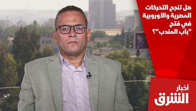 هل تنجح التحركات المصرية والأوروبية في فتح "باب المندب"؟