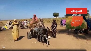 السودان.. نازحو الفاشر