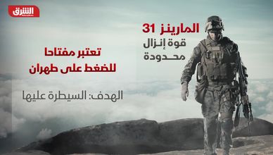 المارينز 31.. قوة إنزال محدودة