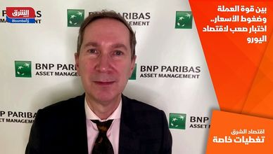 بين قوة العملة وضغوط الأسعار.. اختبار صعب لاقتصاد اليورو