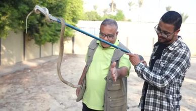عبدالله طلبة.. صائد السموم في خدمة إنقاذ الأرواح
