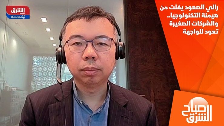 رالي الصعود يفلت من هيمنة التكنولوجيا.. والشركات الصغيرة تعود للواجهة