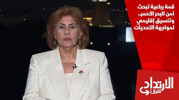 قمة رباعية تبحث أمن البحر الأحمر.. وتنسيق إقليمي لمواجهة التحديات
