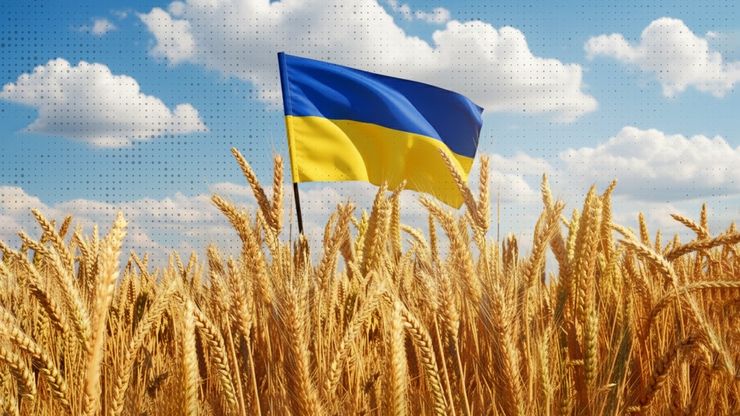 أوكرانيا.. هل مازالت تطعم العالم؟