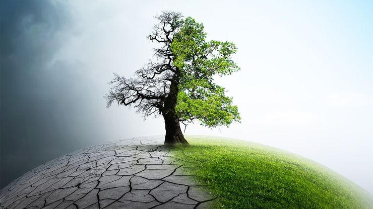 من نوى الجليد إلى نيران الغابات.. هل تجاوزنا الخط الأحمر للمناخ؟