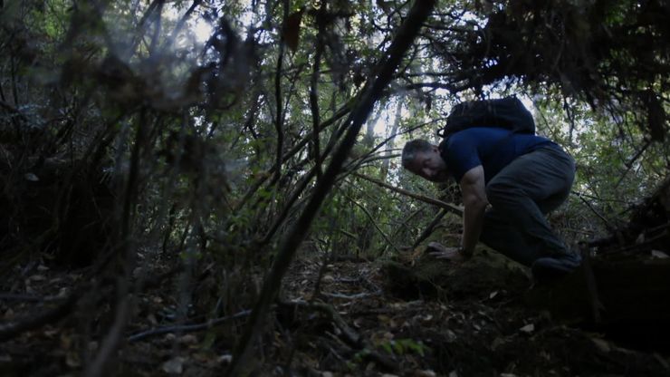 مغامرة جديدة