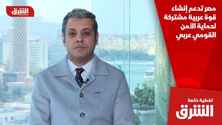 مصر تدعم إنشاء قوة عربية مشتركة لحماية الأمن القومي عربي