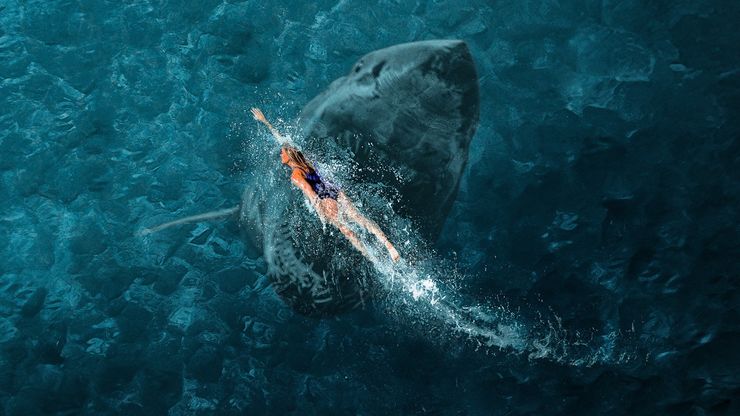 النجاة من الفك المفترس