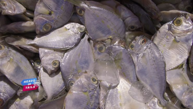 لؤلؤة البحر