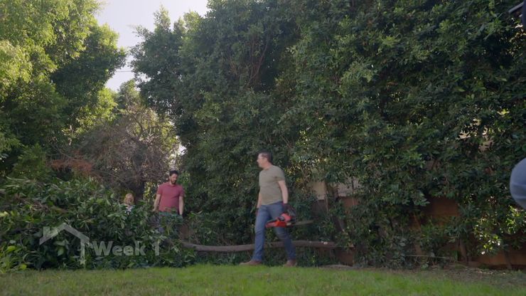 حديقة ساحرة