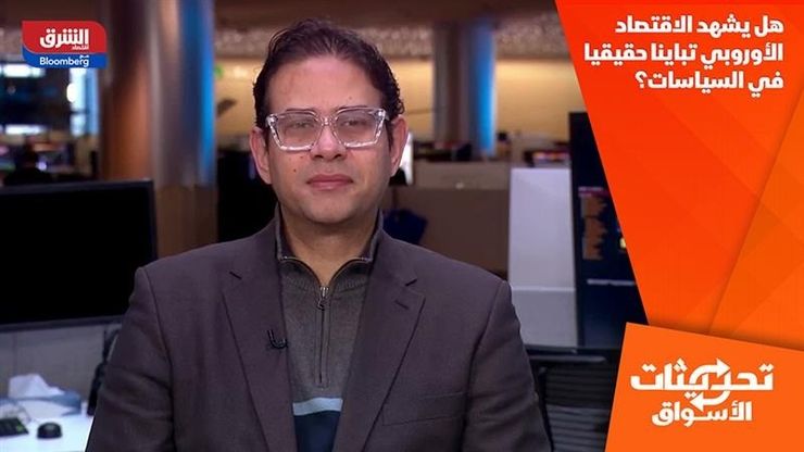 هل يشهد الاقتصاد الأوروبي تباينا حقيقيا في السياسات؟