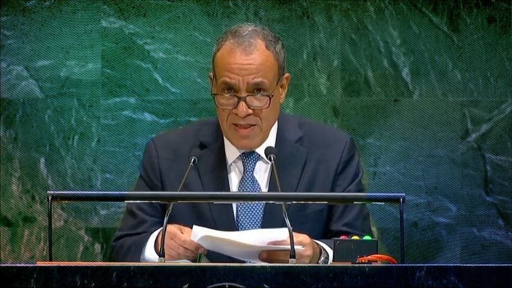 مصر أمام الأمم المتحدة: لا أمن دون دولة فلسطينية ولا تهاون في حماية حقوقنا المائية