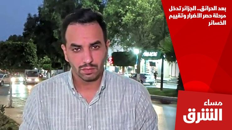 بعد الحرائق.. الجزائر تدخل مرحلة حصر الأضرار وتقييم الخسائر