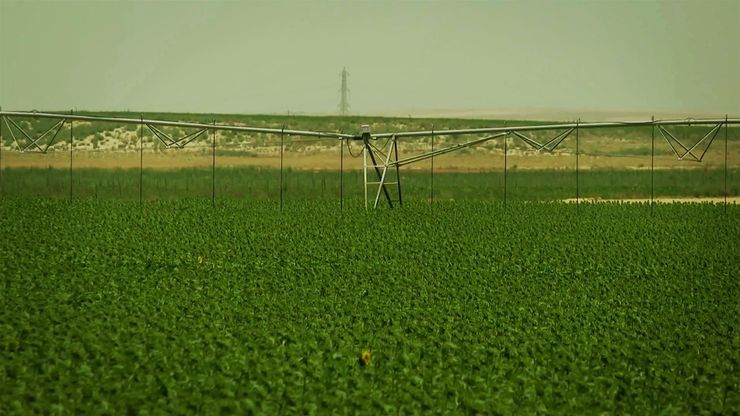 مصر تزرع 4 ملايين فدان للوصول بصادراتها إلى 20 مليار دولار في 2030