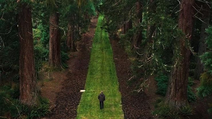 The Secret Life Of Trees