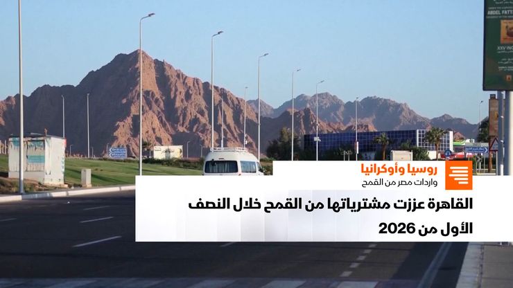 روسيا وأوكرانيا.. واردات مصر من القمح