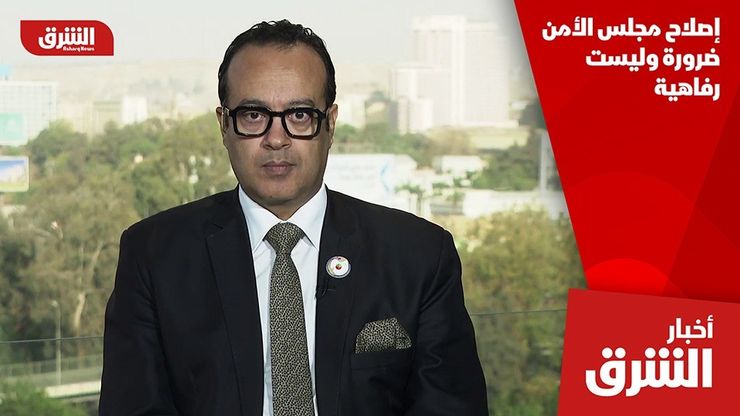 إصلاح مجلس الأمن ضرورة وليست رفاهية