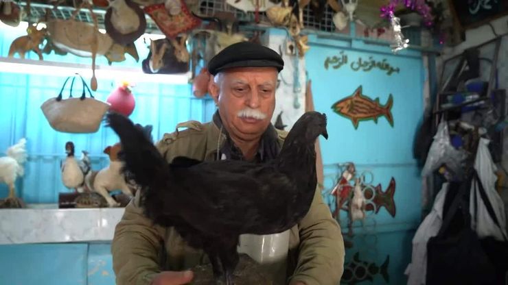 عبد السلام الطرابلسي "محنط الحيوانات"