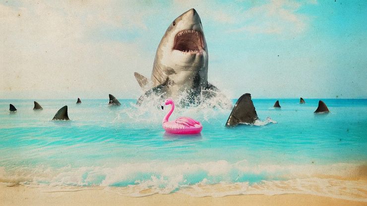 شاطئ الموت في فلوريدا