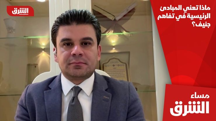 ماذا تعني المبادئ الرئيسية في تفاهم جنيف؟