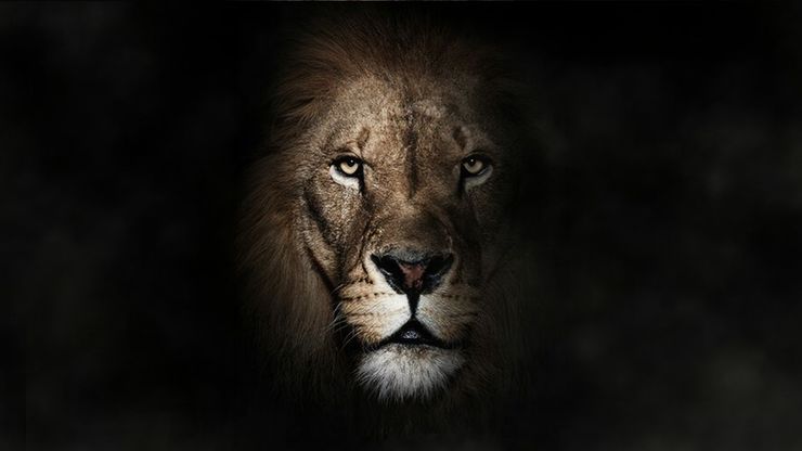 وادي سافيه.. معجزة البرية