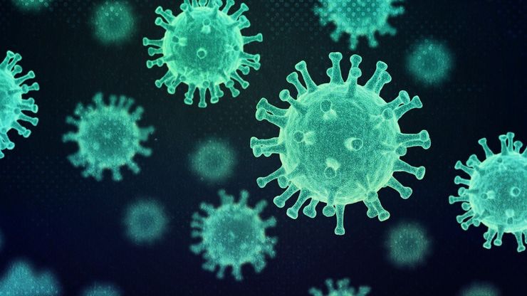 هل يعيد فيروس نيباه شبح الأوبئة العالمية من جديد؟