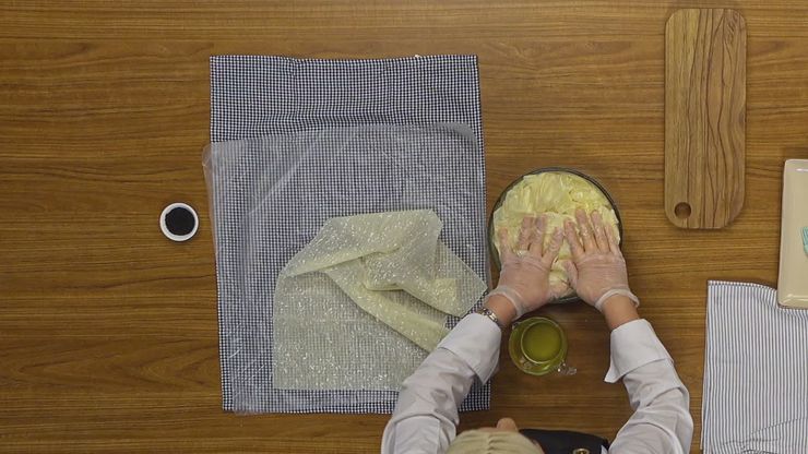 صالونة الدجاج