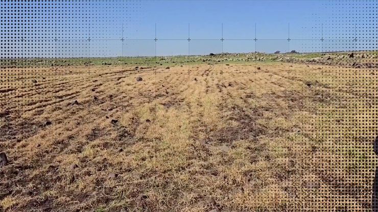 عمليات رش إسرائيلية تبيد حقول القنيطرة.. إلى أين يمتد الضرر؟