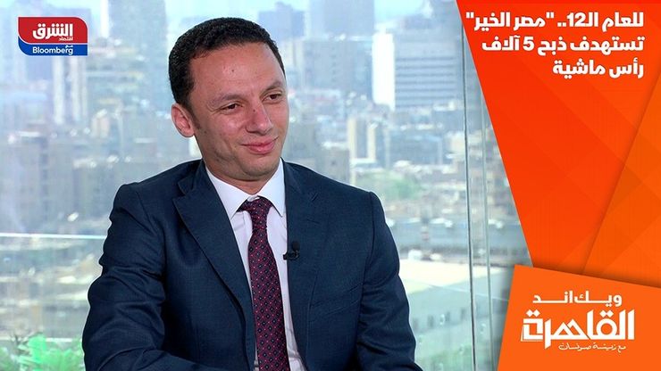 للعام الـ12.. "مصر الخير" تستهدف ذبح 5 آلاف رأس ماشية