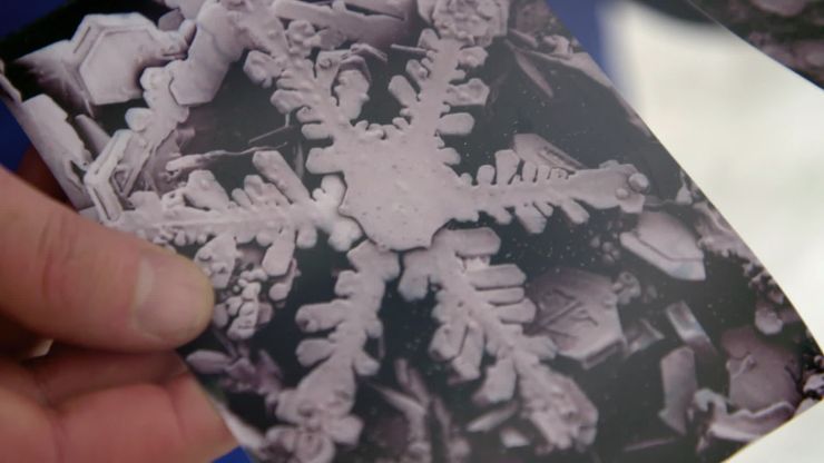 بسكويت الزنجبيل