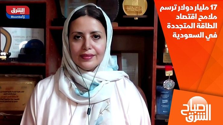 17 مليار دولار ترسم ملامح اقتصاد الطاقة المتجددة في السعودية