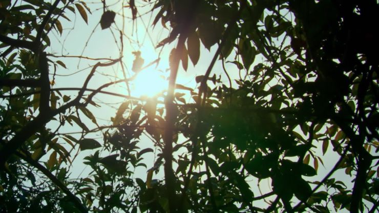 ملوك الخداع