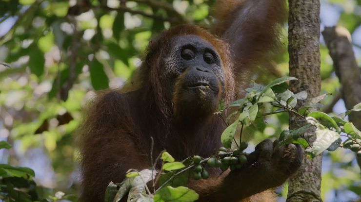 تحالفات غير متوقعة