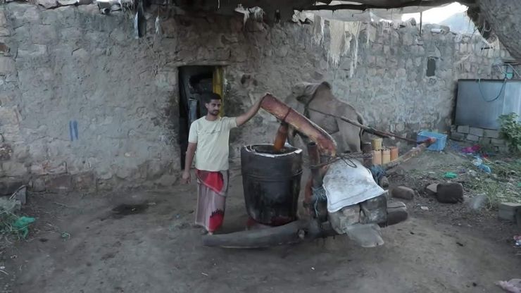 زيت السمسم كما كان يصنعه الأجداد