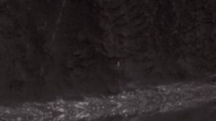 عواءات مرعبة