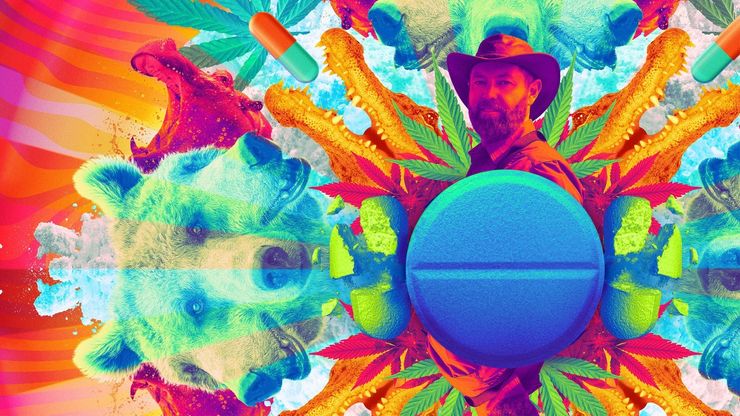 حيوانات مدمنة