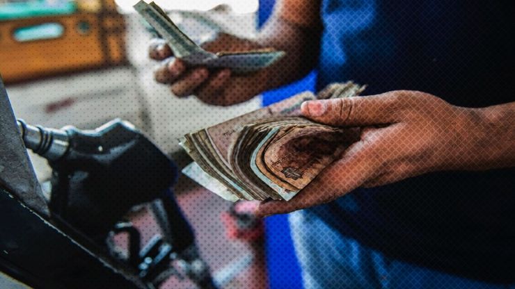 الحرب الإيرانية وارتفاع الوقود يضغطان على سوق الأعلاف في مصر