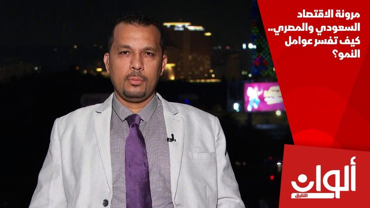 مرونة الاقتصاد السعودي والمصري.. كيف تفسر عوامل النمو؟