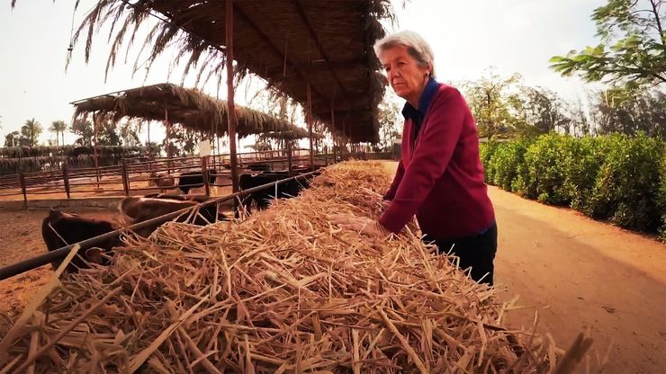 "أنجيلا هوفمان".. ألمانية تقود الزراعة الحيوية في مصر منذ 40 عاما