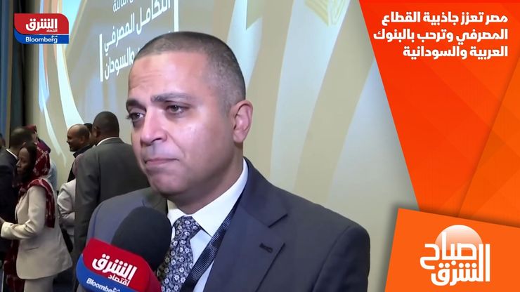 مصر تعزز جاذبية القطاع المصرفي وترحب بالبنوك العربية والسودانية
