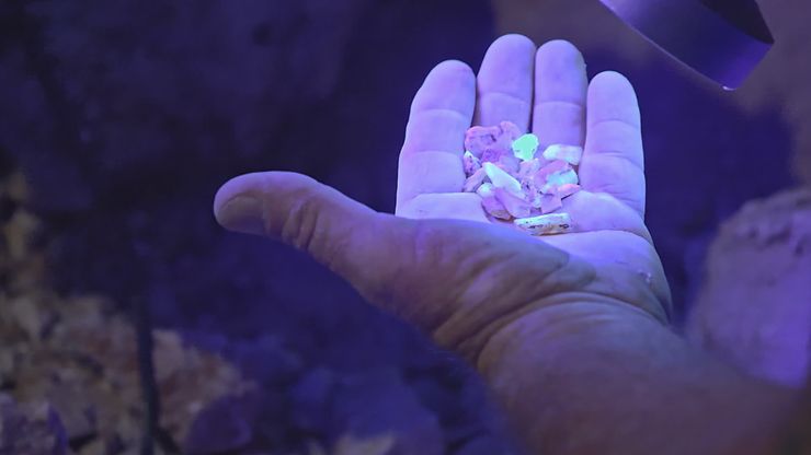 الفرصة الأخيرة