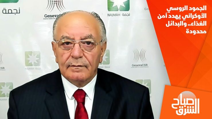 الجمود الروسي الأوكراني يهدد أمن الغذاء.. والبدائل محدودة