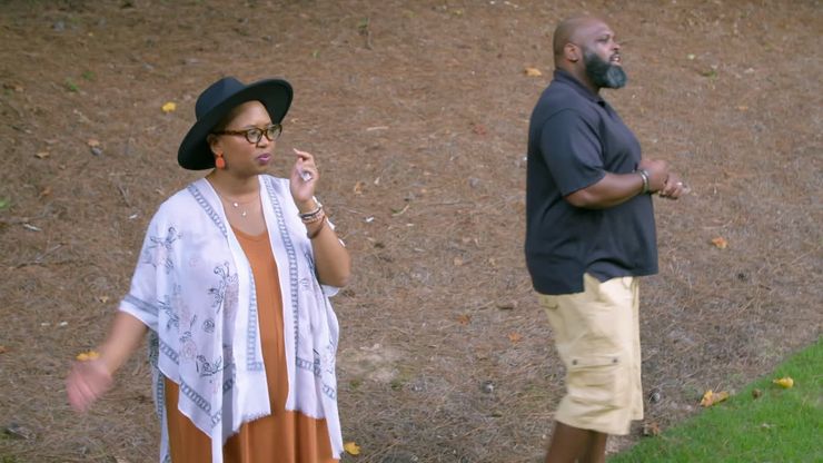 العقار المثالي