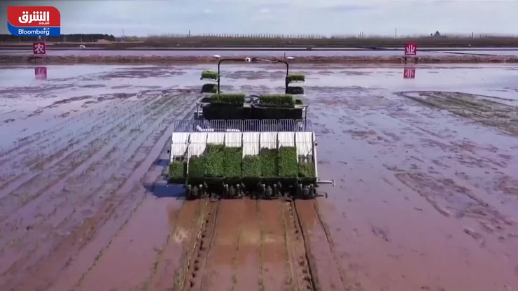 صراع الشرق الأوسط يهدد أمن الغذاء.. هل تشتعل الأسعار مجددا؟