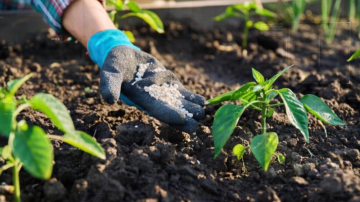 قطاع الزراعة في المغرب.. ضغوط متزايدة وفاتورة طاقة مرتفعة